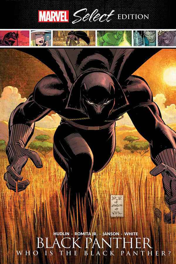 Who is the Black Panther?